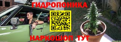 2c-b Аргун