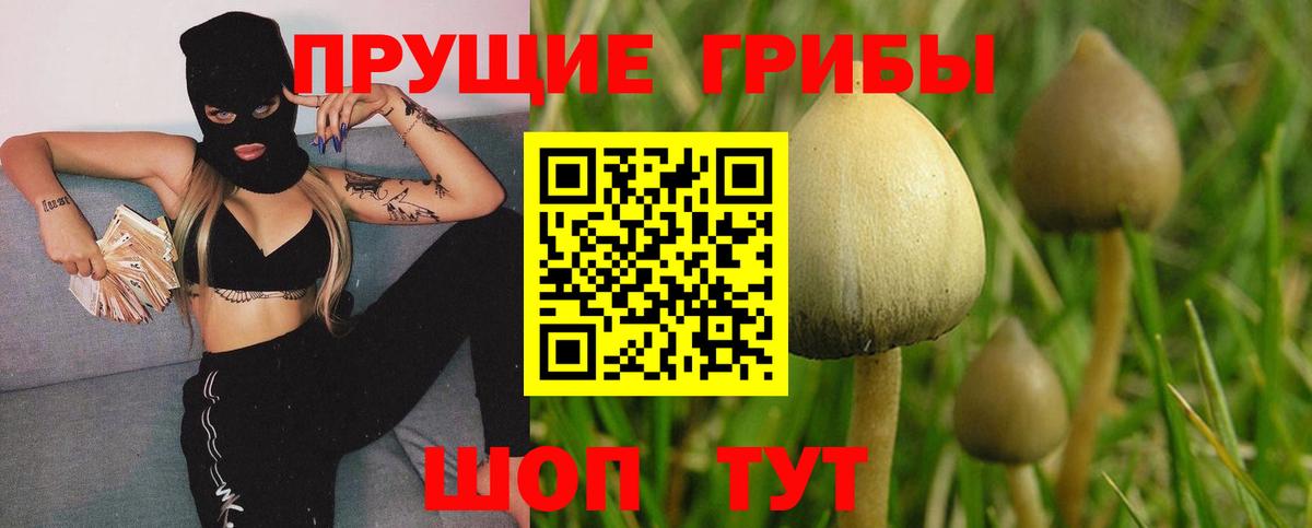 Галлюциногенные грибы Psilocybe  Вход с VPN  Березники  Галлюциногенные грибы MAGIC MUSHROOMS 